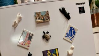 猫犬のための生肉を保存する冷凍庫